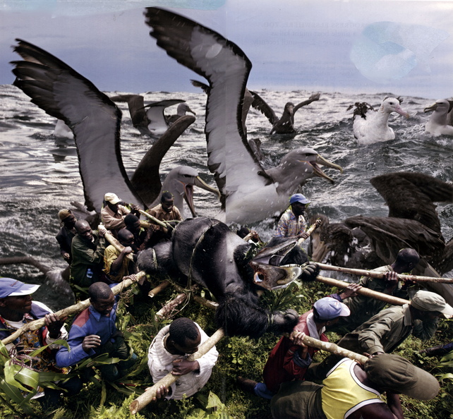 Leviathan (32x34.5cm) 360.jpg