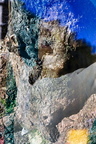 DSC 2567