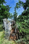 DSC 0189