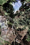 DSC 0186
