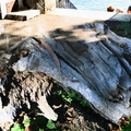 Bord du lac