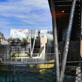 L'île, Genève